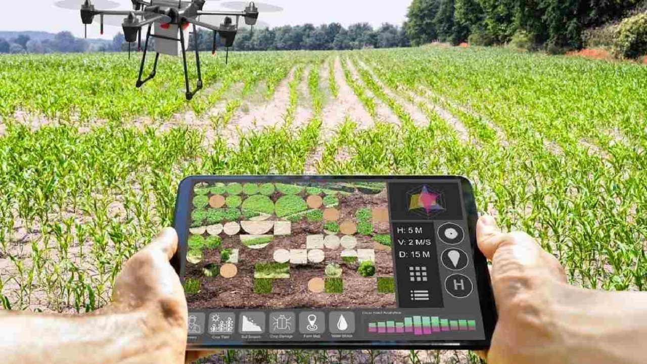 Close-up of a digital farming interface